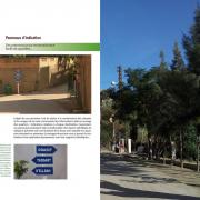 projet pour mon village (11) ( Tiwal, Beni Maouche, Bejaia )